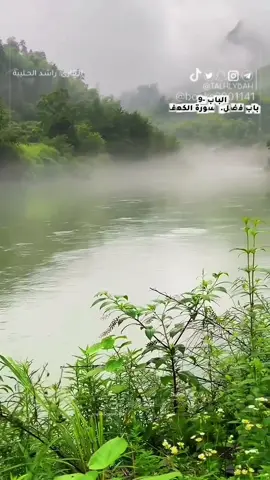 •	المعنى العام: حفظ عشرة آيات من أول سورة الكهف أو آخرها كافٍ لحماية المسلم من فتنة المسيح الدجال، الذي سيكون فتنة عظيمة في آخر الزمان. 	•	سبب اختيار سورة الكهف: لما فيها من قصص الصالحين الذين ابتلوا ونجوا، واحتوت على تعاليم التوحيد والصبر والتوكل على الله. 	•	الحفظ والقراءة لها أثر وقائي وروحي، فهي تزرع الحصانة من الفتن الكبرى.