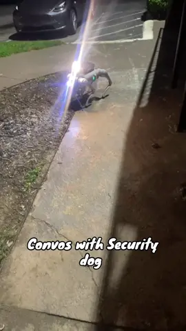 #securitydog #foryou 