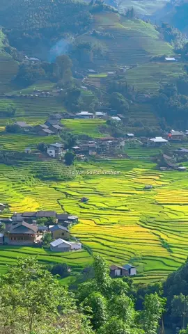 Bản Tả Van SaPa tháng 8 #sapa #vietnam #tavan 