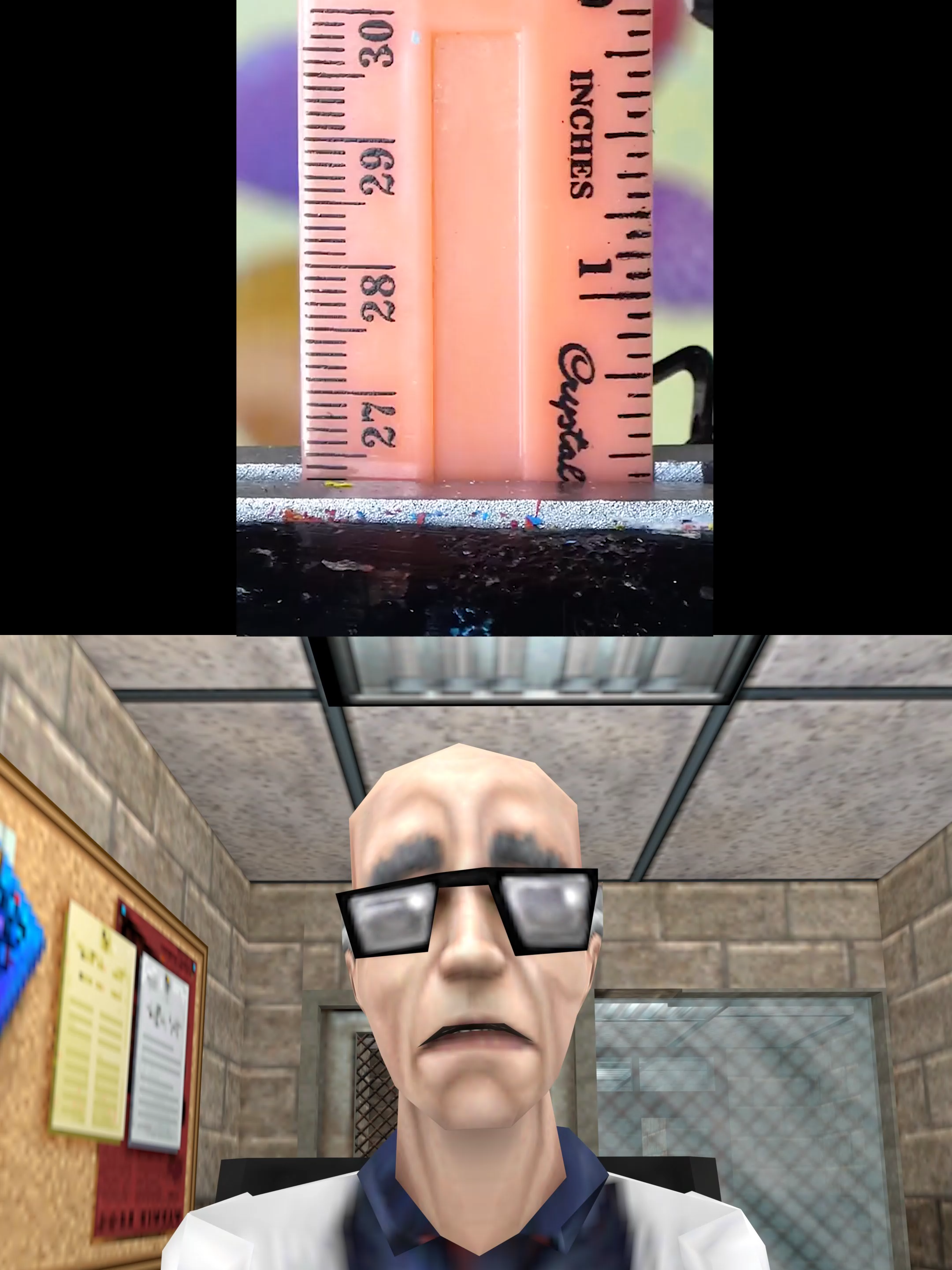 Fellow Scientists Ruler Asmr 📏✂️