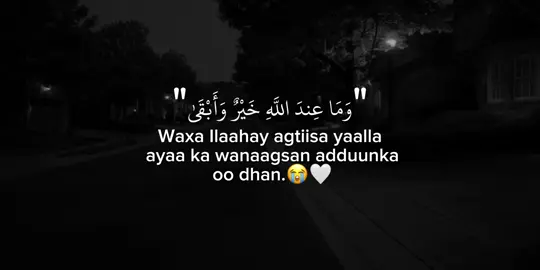 Really.🥹 #maxamedoww30 #foryoupage #somalitiktok #foryou 