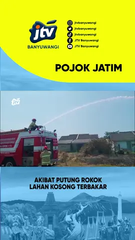 Akibat putung rokok, lahan kosong terbakar #berita #news #jtv #jtvbanyuwangi #banyuwangi #jawatimur #trendingindonesia #fyp #fypindonesia