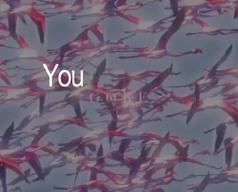 Phantom Bride - Deftones #deftones #shoegaze #lyrics_songs #music #chinomoreno 