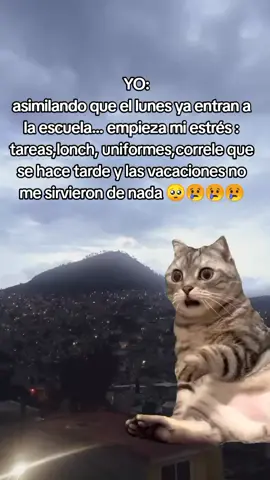 Yo el lunes 🤦🏻‍♀️😢🥺😢🥺😢🥺😢#Meme #MemeCut #escuela  #regresoaclases #mama 
