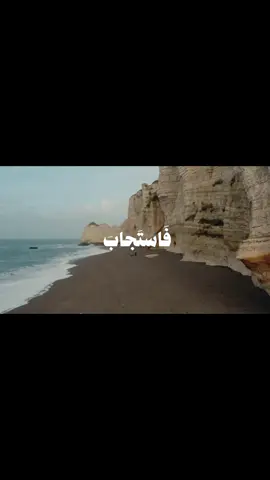 (فاستجاب لهم ربهم)#قران_كريم #تلاوه #تيك_توك_اسلامي #آيات_قرآنية #قران_كريم_ارح_سمعك_وقلبك♡🎧♡_❤بالقران🤲🏻✨ 