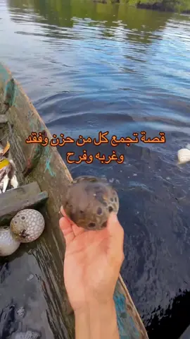 قصة سعيد-الجزء الأخير #اكسبلورexplore #explore #foryoupage #foryou #الشعب_الصيني_ماله_حل😂😂 