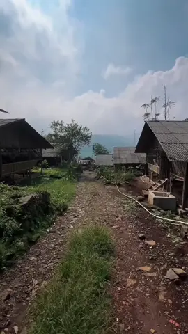 #ayampetelur #peternakmuda #bisnis #tiktok #viral #masukberanda 