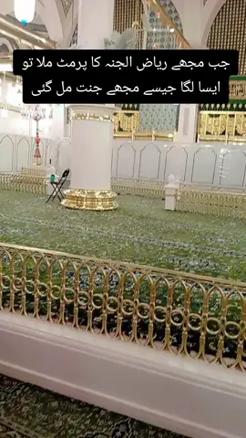 #ریاض الجنہ