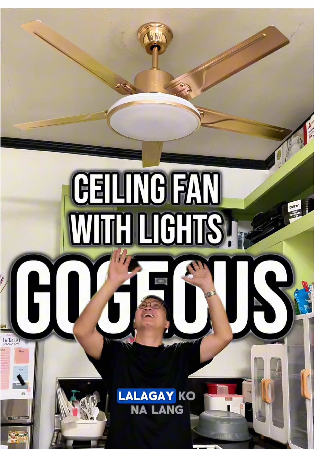 GOGEOUS Nordic Ceiling Fan With Light  3 Color 6 Levels Fan Aesthetic and Modern Ceiling Fan with Light Chandelier  #ceilingfanwithlight #modernceilinglight #ceilingfan #ceilinglight #aestheticlight 