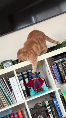 Superman#superman #corensupes  