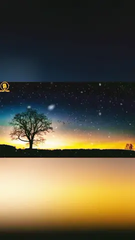የሚተካሽ ጠፋ  Geramew Asefa #ethiopian_tik_tok #viral #foryoupage #fyp #ethiopian_tik_tok🇪🇹🇪🇹🇪🇹🇪🇹 
