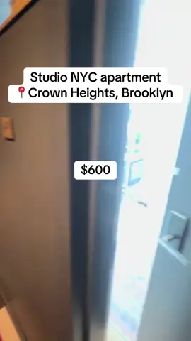 Studio NYC apartment for rent in Crown Heights Brooklyn! #brooklyn #NYC #brooklynnewyork #crownheights #openigloo 