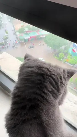 Hà nội mùa vắng những cơn mưa