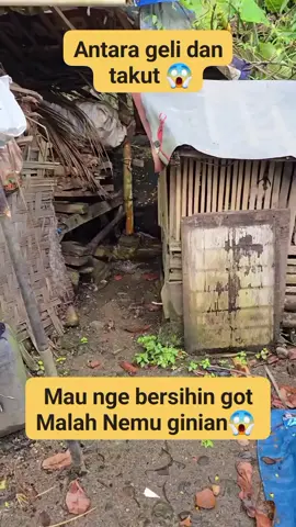 Antara geli dan takut😱🐍 #fyp #fypreels #vidioviral #jangkauan