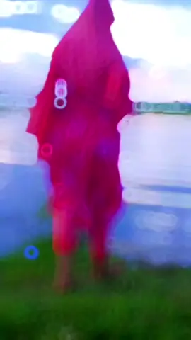 ছোট্ট একটা দ্বীপ