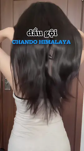 Chân ái của da đầu dầu hay bết đây neee #chandohimalaya #reviewlamdep #daugoiphongtoc #daugoikiemdau #xuhuong 