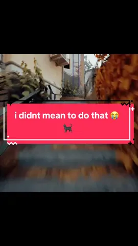 i swear i thought i was just going to pet it 😭 #militsioner #videogames #videogame #fyp #cat 
