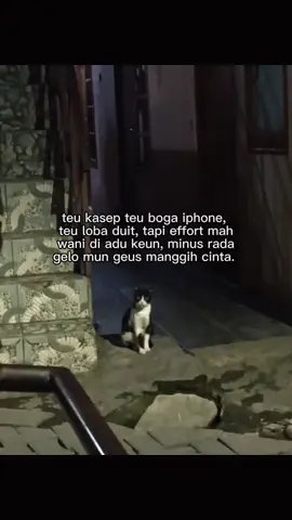 #siadeui 