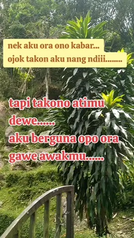 #fyppppppppppppppppppppppp #umpomone🤭🤭😂😂 