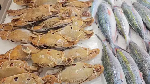 NSK seri kembangan  jom borong ikan segar!pelbagai jenis ikan seperti ikan kembung,selar,cencaru dan banyak lagi.. #fyp #fypシ゚viral #nsktradecityserikembangan #viralmarketing #offersetiaphari 