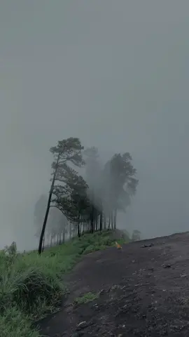 Kabaragala | SRI LANkA 🤍🍃 #travel #trvellife #welcomehome #billieeilish #fyp #travelerseye #traveltiktok #nature #black #fo #foru #foryoupagee #blackheart #fory #visitsrilanka #kabaragala #viral 