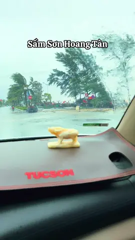 Tan hoang hết cả rồi 🤧 