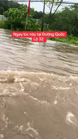 Một trận mưa to mà ngập hết cả đường . ( Gần cổng chào Phúc Thọ - Hà Nội )
