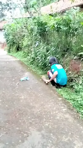 sketbor