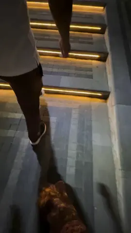 👑🌏
