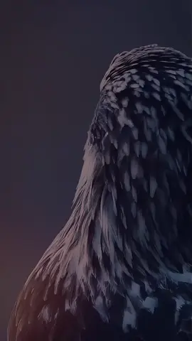 #CapCut 