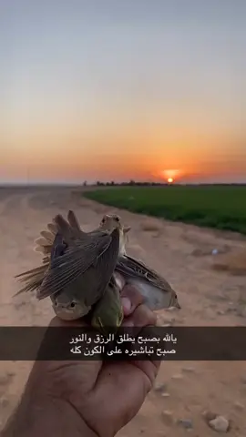 #يالله بصبح يطلق الرزق والنور صبح تباشيره على الكون كله#شحمنيات #دخل #كرك #الرهو #الاقرع #الاكحل #صفاري #عمير_دومة_الجندل #الرهو_الاكحل #كشتات_الشتاء #تصويري📸 