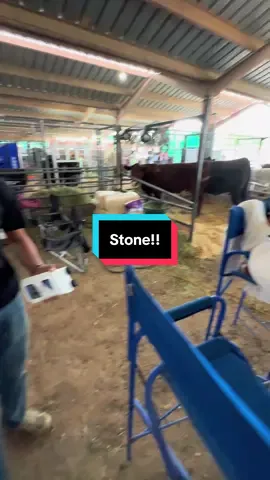 Stone Knows Best!! @Swamp Fox Innovations 