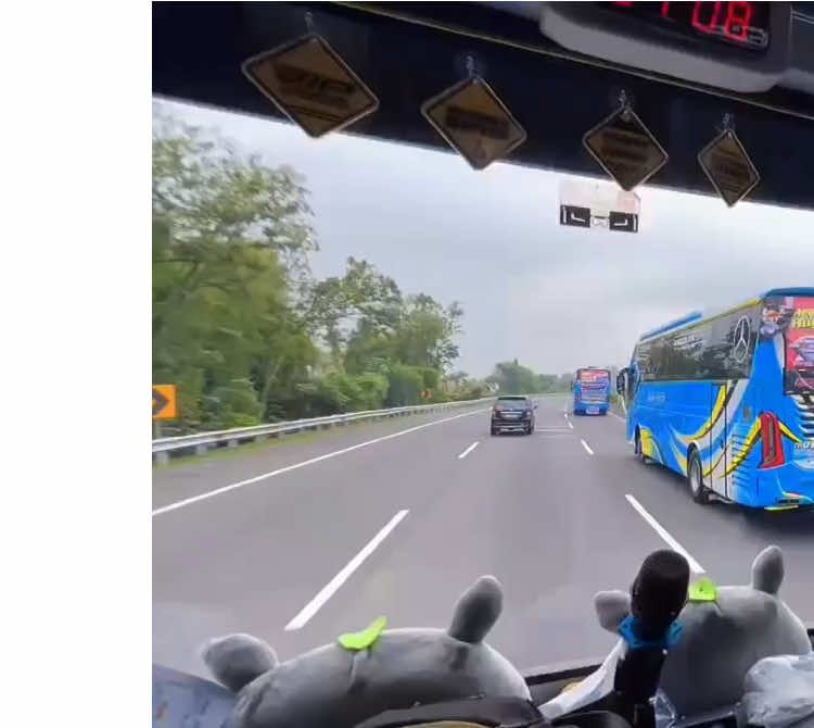absen yg kemaren ikut anyer 24 agst 2k25 #masukbranda #fyp #togatrans #busmania #anyerbeach 