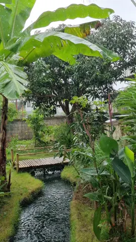 ไม่มีอะไรแน่นอนคือสิ่งที่ธรรมชาติสอนจงเรียนรู้และอยู่กับมัน😀🌿🌳 #พายุคาจิกิ #เลี้ยงปลา #ธรรมชาติ #คลองไส้ไก่ #ความสุขเล็กๆ 