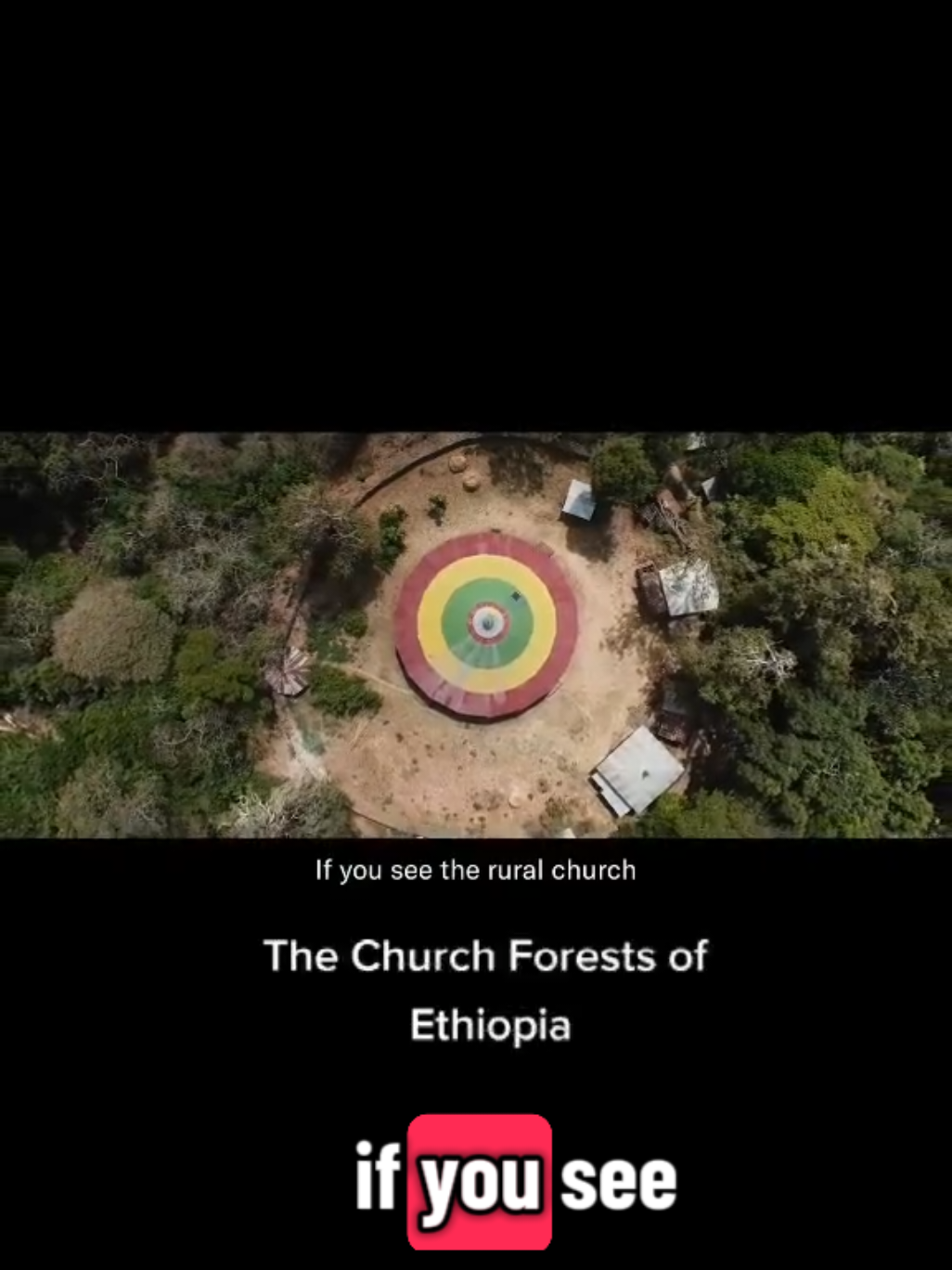 #onthisday  #ethiopianorthodox #churchforestsofethiopia  #ethiopianforest 