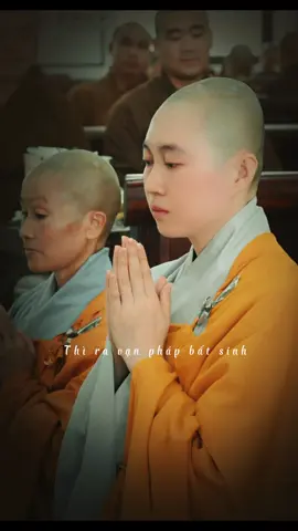 Ở đời... nhiều khi người khổ  không phải vì còn sai. Mà vì.. vẫn còn muốn hết sai. Người ta không ngộ từ lý  mà ngộ từ va. Nên mọi câu đạo sâu phải gắn vào vết đau của người từng gãy. Đạo... nếu không hiểu - là gông xiềng. Đạo... nếu hiểu đúng - lại là bệ phóng. Và lạ thay... có những cái ngồi rất ngay  nhưng cái tâm lại nghiêng hẳn về phía mình. Nhiều khi... ta tưởng mình đang 