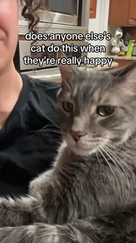 stinky man!!!! #catsoftiktok 