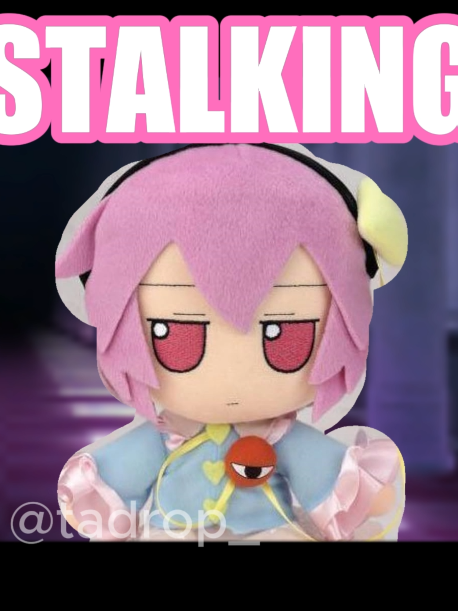 Good to know #remiliascarlet #satorikomeiji #touhou #shitposting