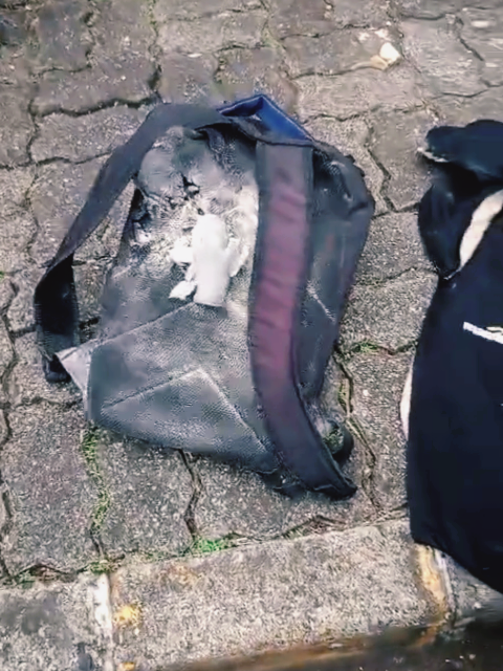 25 Gustus 2025 Demo Rusuh di Jakarta,  seorang ibu Nangis Diduga Kena Gas Air Mata Polisi: Tas hingga Laptop Bolong #demo #dpr #mpr #indonesia #bankmandiri 