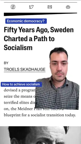 In 1975, Swedish socialists and unions devised a program to democratically seize the means of production. #politics #socialism #meidnerplan 