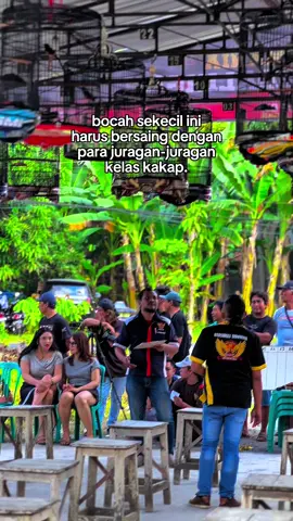 #CapCut #kicaumania #storykicaumania #muraijuara #muraibatu #juraganmuda 