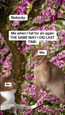 My learning process 🥲 #christiantiktok #christianmemes #christian #mememessenger  