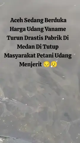Kondisi Leumeh,pabrik udang di tutup 😮‍💨😮‍💨