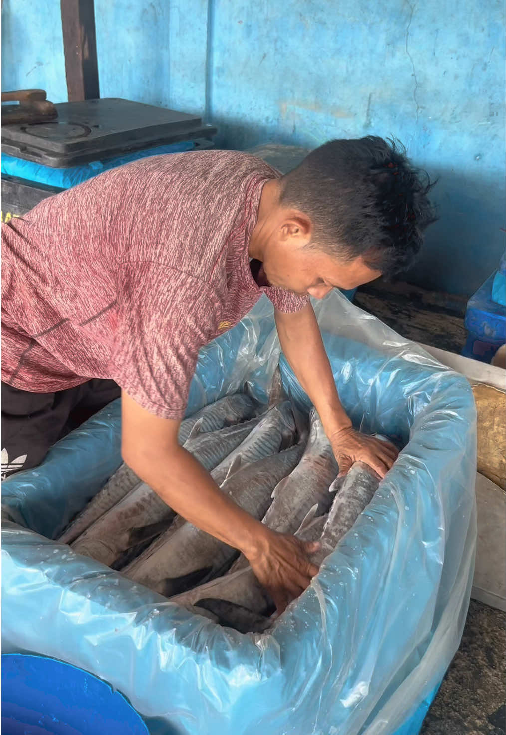 packing #nasfish #SeafoodExport #EksporIkan #trending #trending 