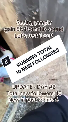 Day - TWO: 6 New Followers - Will update daily with new totals! Follow to see what happens! RUNNING TOTAL: 10 New Followers #smallcontentcreator #smallcreatorsupport  #microinfluencer 