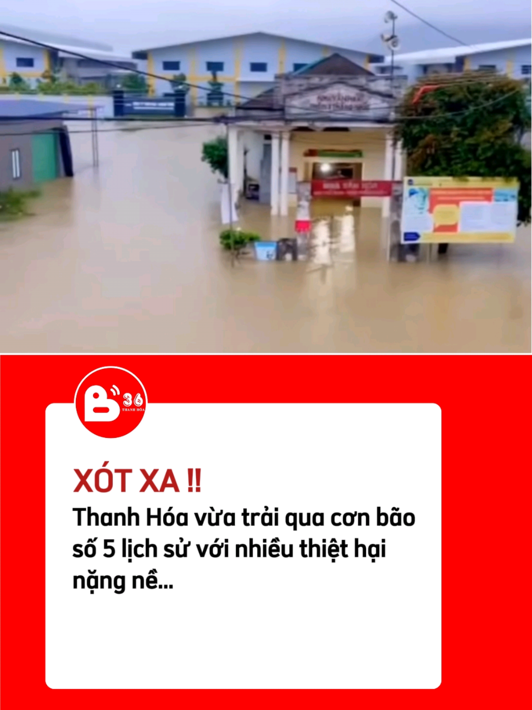 Xót xa : Thanh Hóa vừa trải qua cơn bão số 5 lịch sử với thiệt hại nặng nề... #beatthanhhoa #baoso5 #fyp #viral #thanhhoa 