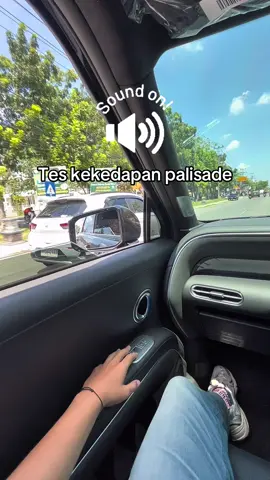 Kalau udah di dalam mobil ini auto budeg  Info pemesanan unit hub: (ARFAN) 081274260962 #palisade #hyundaipalisade #hyundai #HyundaiIndonesia #hyundaipekanbaru 