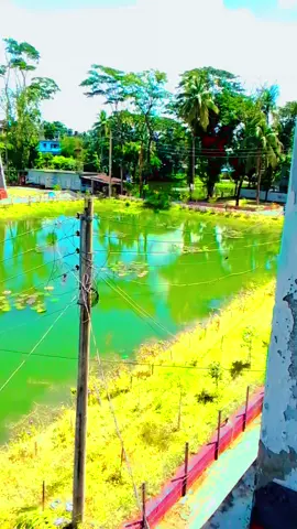 নলছিটি উপজেলা🌼মন মাঝি খবরদার...#viralvideo #fouryou #foryou