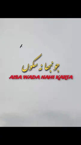 #foryoupage #tiktokpakistan #trandingvideo_viral_video #100kfollowers @𝙸𝚜𝚕𝚊𝚖𝚒𝚌 𝚁𝚎𝚎𝚕𝚜 #creatorsearchinsights 