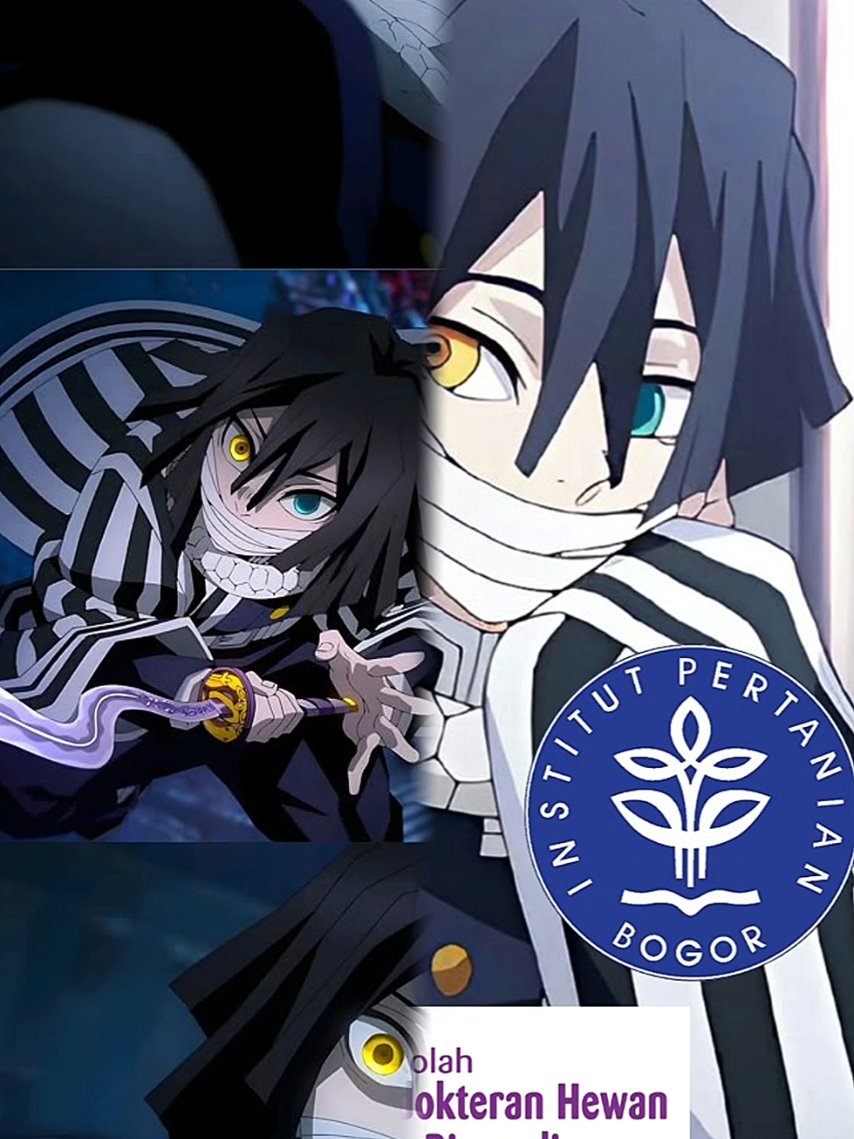 #infinitycastle #kimetsunoyaiba #demonslayer #obanai #obanaiiguro 
